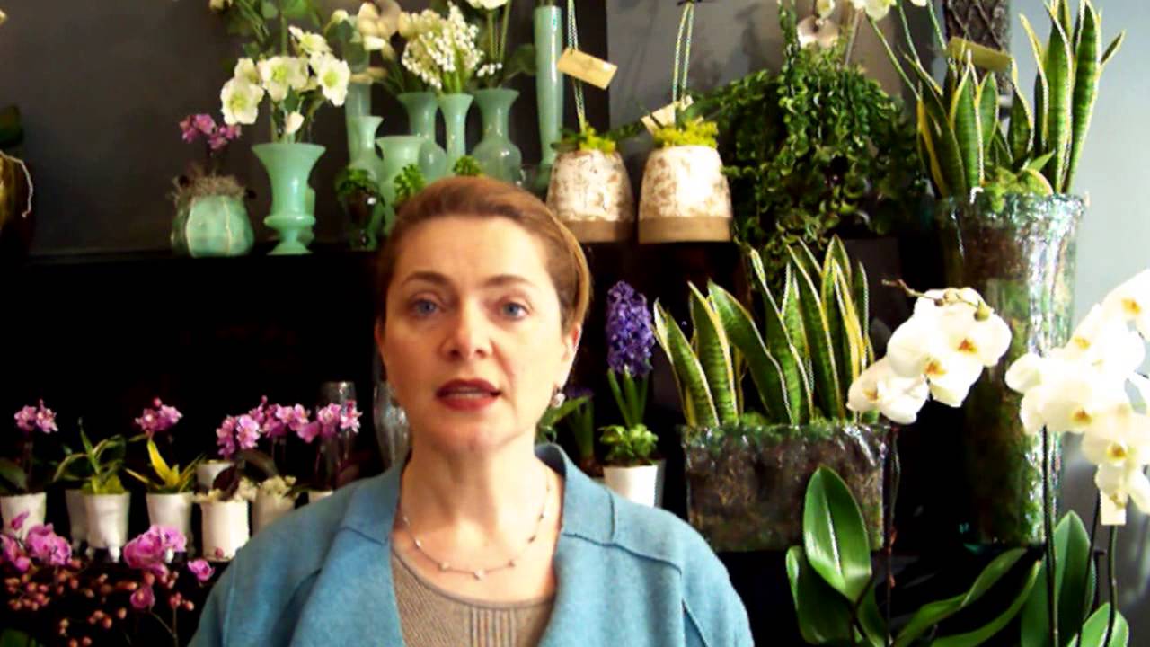 Flower Therapy 2015