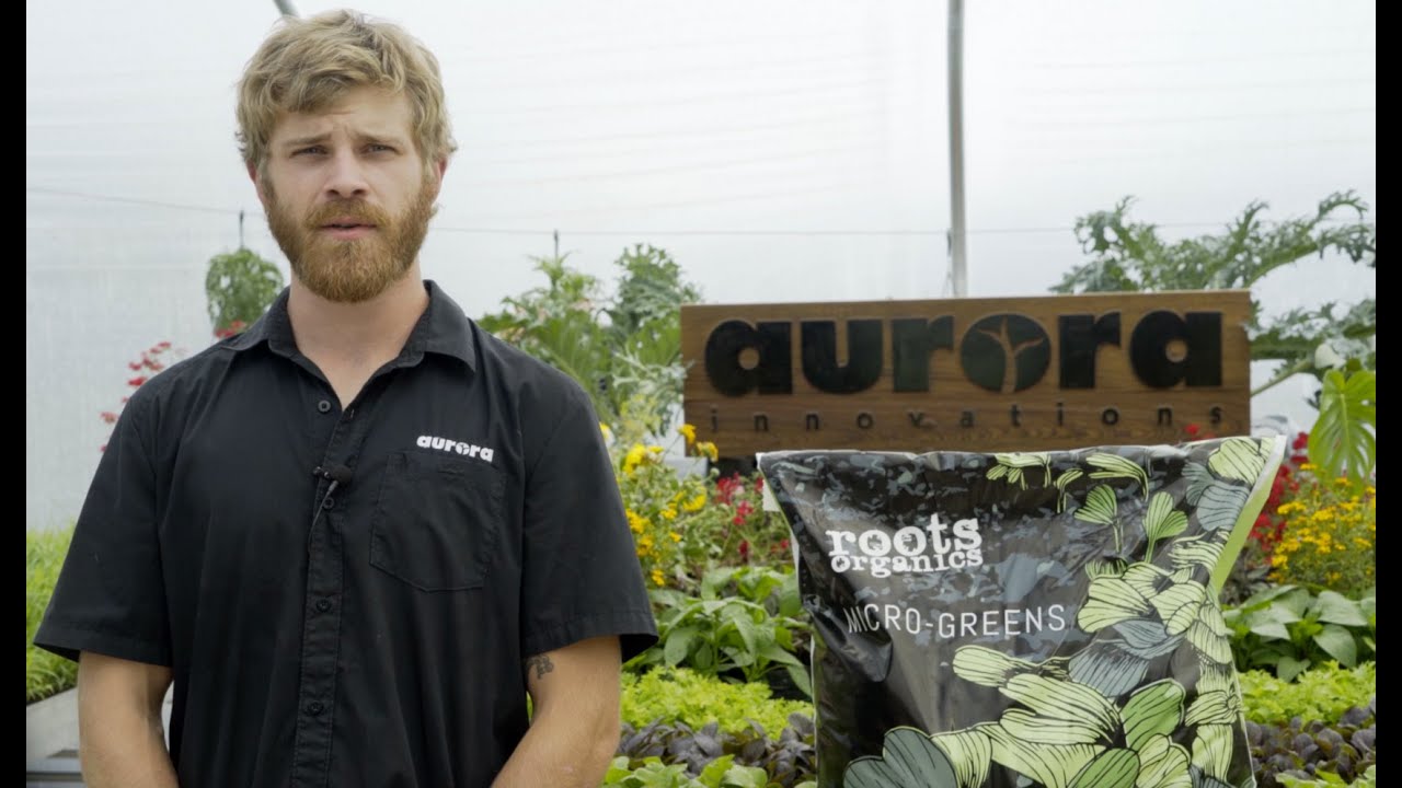 Aurora Innovations Roots Organics Micro Greens