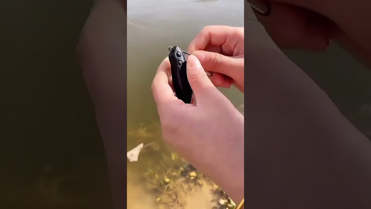 Lure casting ruan & toman kawasan semak tak sangkut