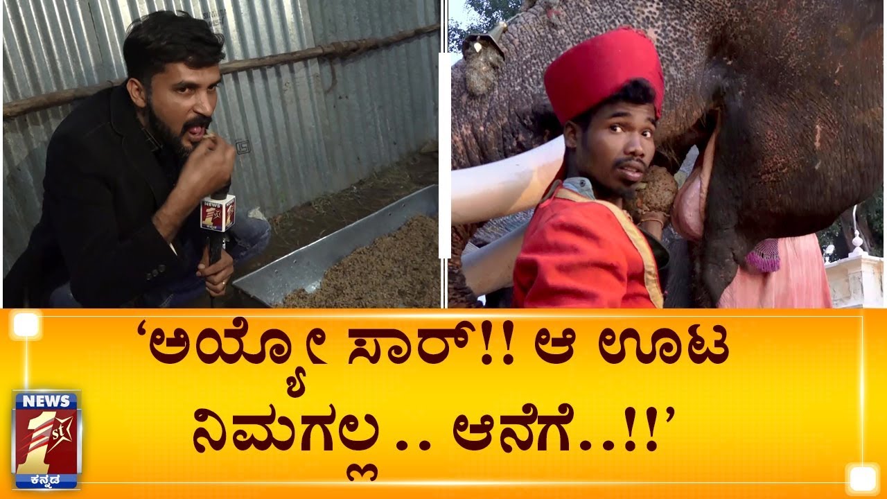 ಹೌದಾ!!.. ಒಂಥರ ಸಖತ್ತಾಗಿದೆ!!.. ತಿಂದ್​ ಮೇಲೆ ನಾನೂ ಅರ್ಜುನನ ಥರ..! | Dasara Jumbos special diet