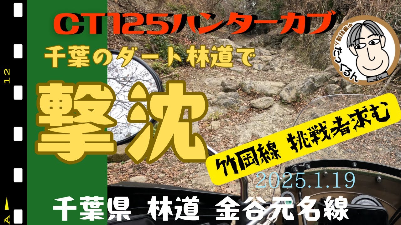 千葉県　林道　金谷元名線　林道竹岡線　探索　撃沈