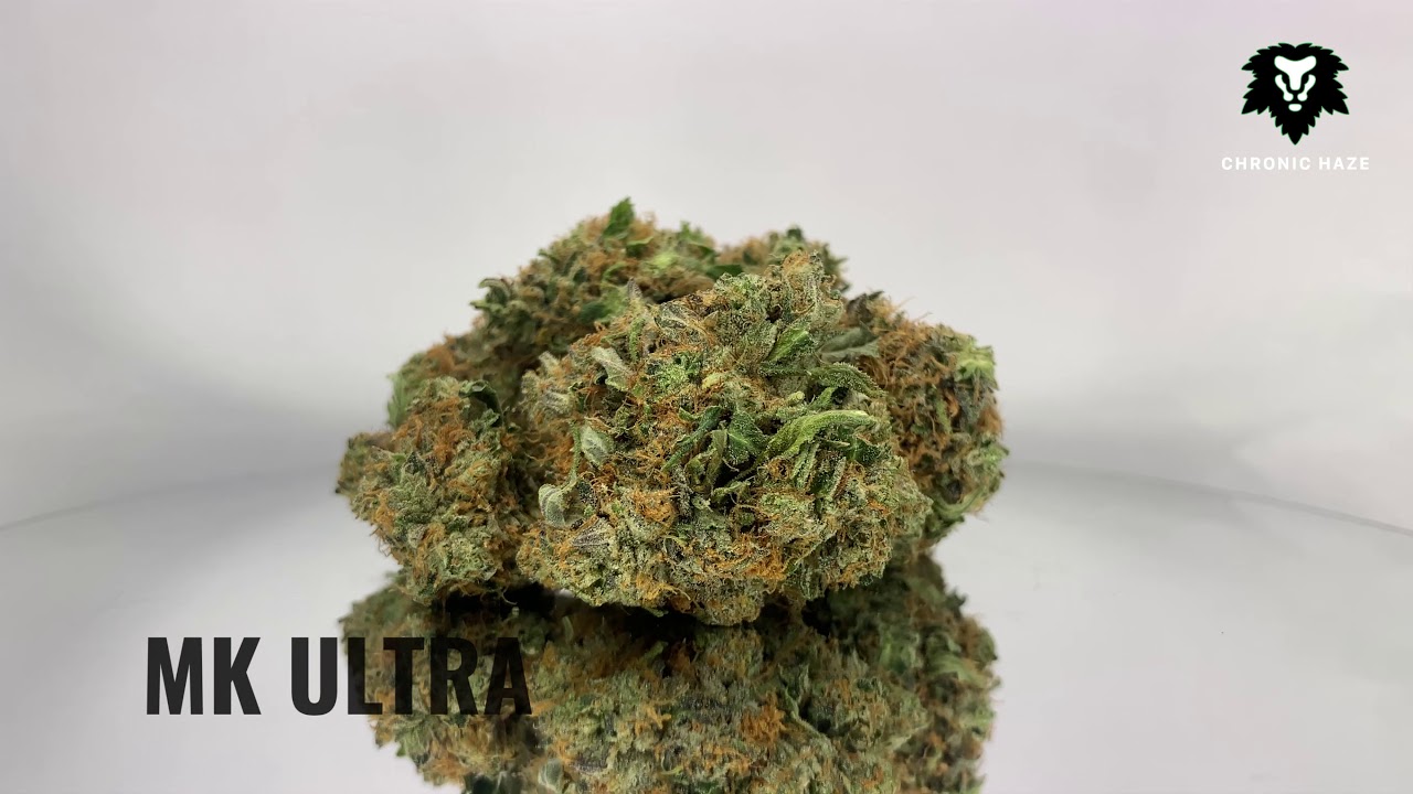 Chronic Haze - MK ULTRA