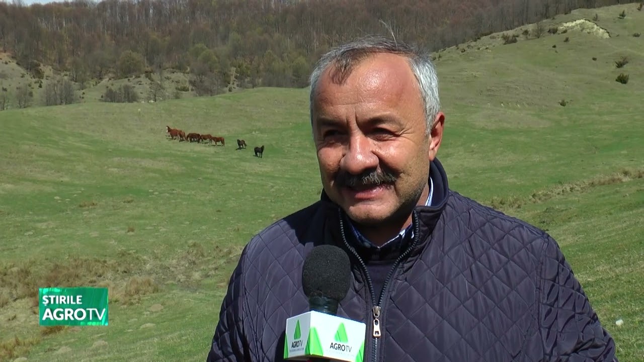 Caii sălbatici de la Valea Lungă, Dâmbovița 04 04 2023