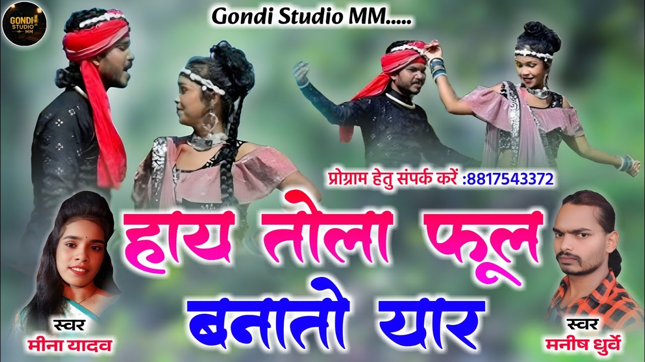 हाय तोला फूल बनातो यार Hay Tola Fool Banato Yar / Manish Dhurve, Meena Yadav Cg Song