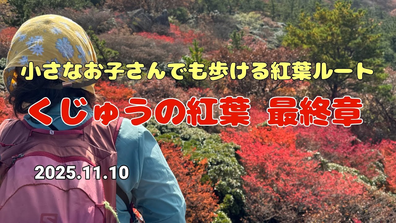 【くじゅう紅葉】お子さんでも歩ける紅葉ルート！No.236