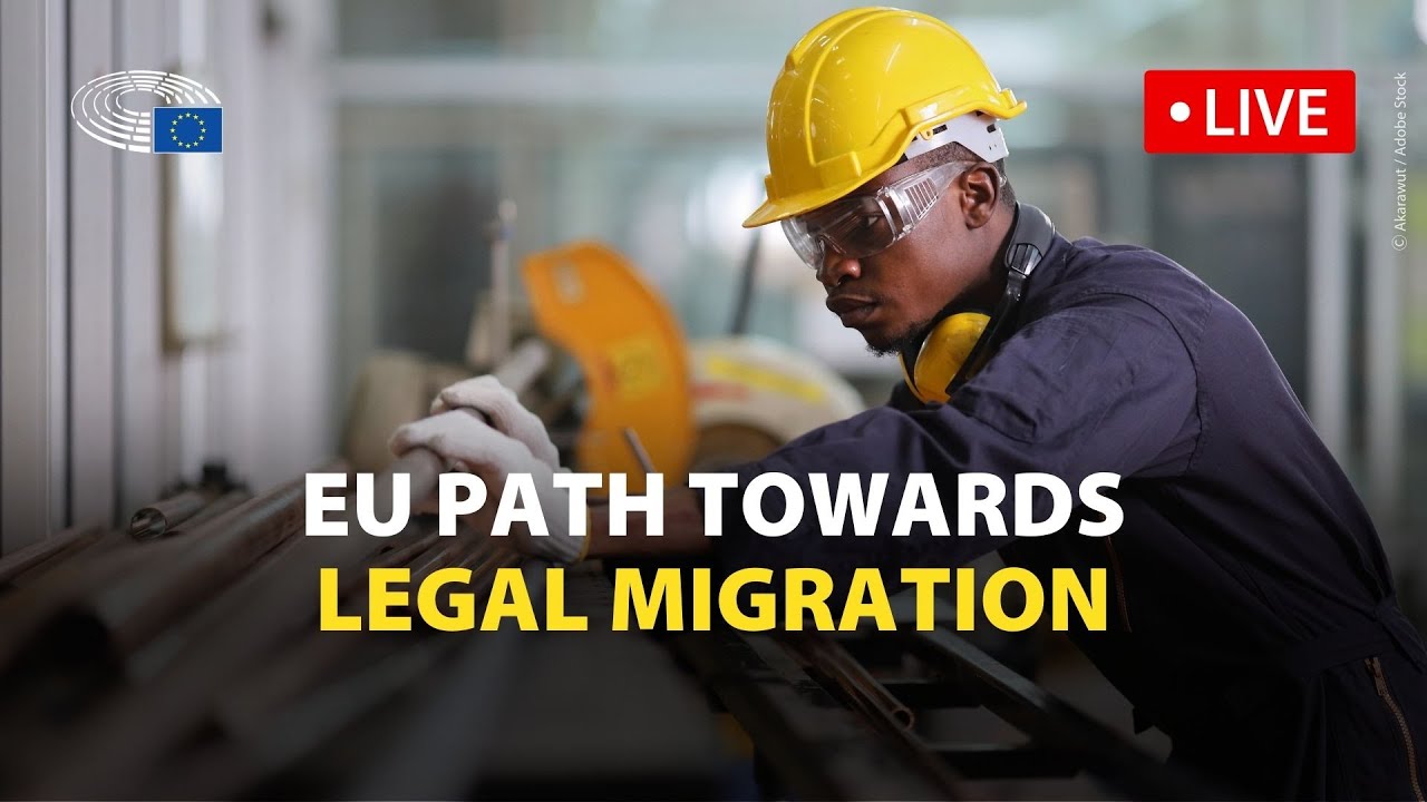 How can the EU&rsquo;s legal migration framework be improved?