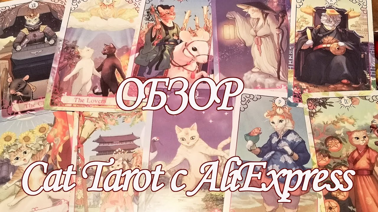 Cat Tarot - Обзор новой Кошачьей колоды Таро с Aliexpress