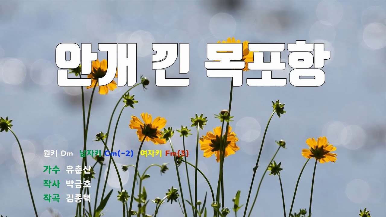 [은성 반주기] 안개낀목포항 - 유춘산