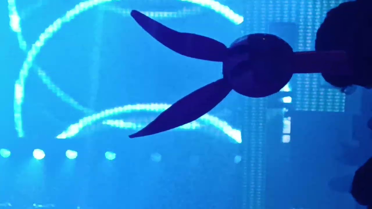 Carl Cox jardines 