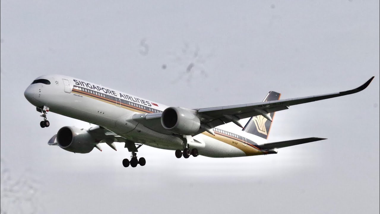 Finnair, Lufthansa, Singapore Airlines - Changi Airport Evening Golden Hour Arrivals