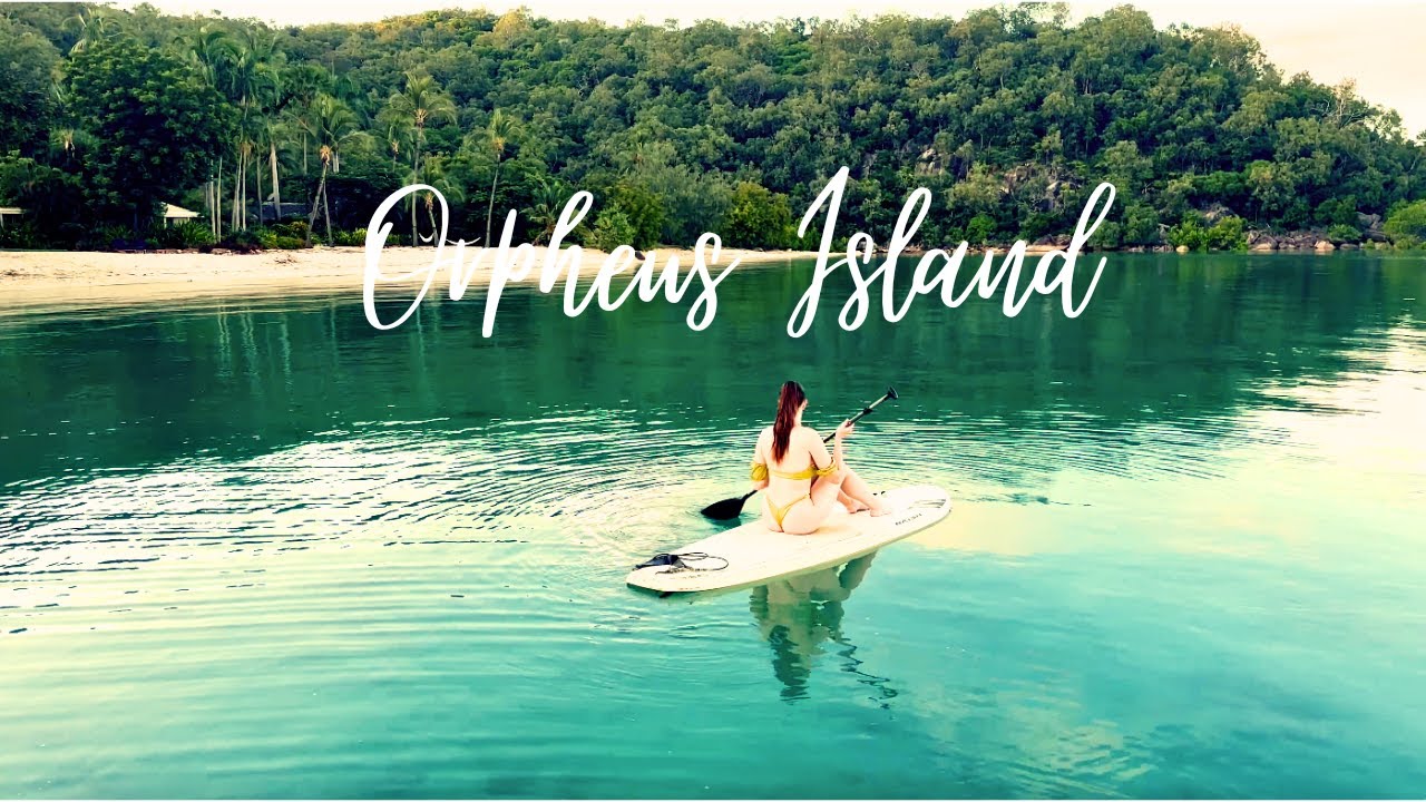 Australia 🇦🇺Orpheus Island ☀️ (4K) Must See