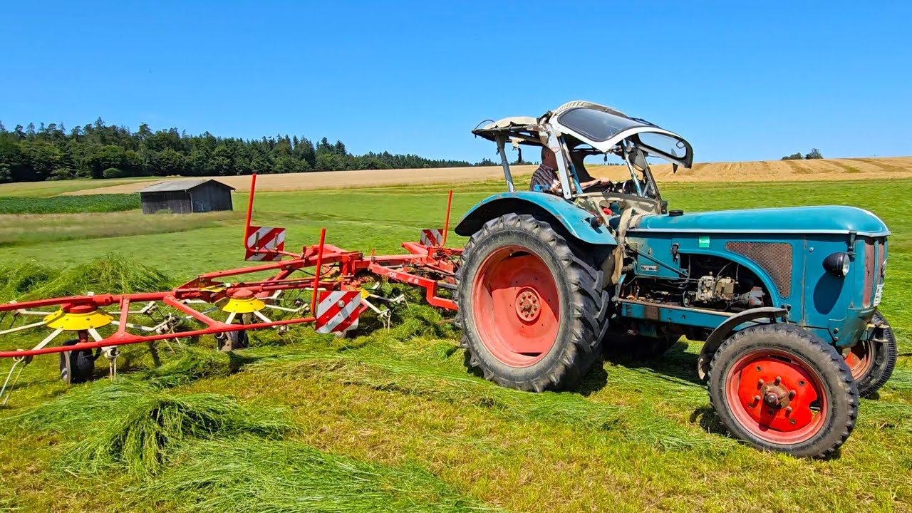 HANOMAG Robust R442 -50 RHEINSTAHL A.G. mit Pöttinger HIT 800 AZ Kreiselheuer beim Gras wenden 2024