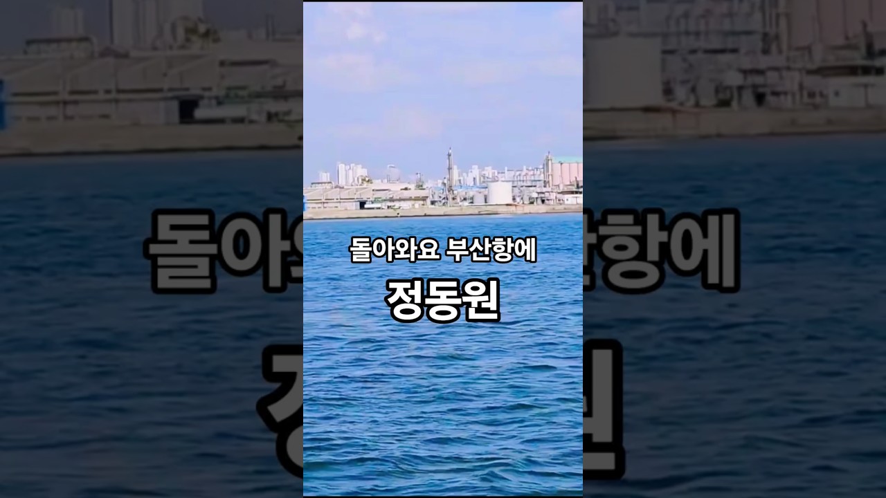 돌아와요 부산항에 #정동원 #우주총동원 #인기 #가요 #봄 #바다 #여행