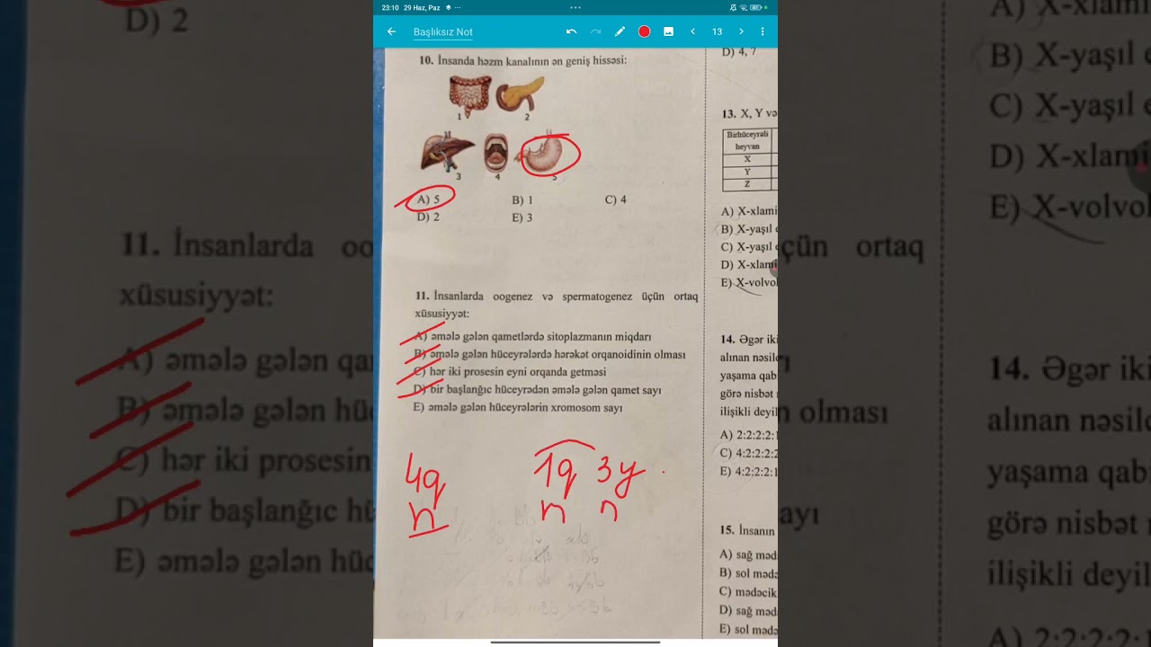 29.06.2025  son Otk sualları Biologiya 11 sinif