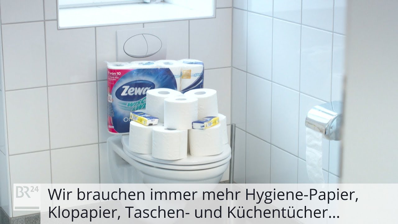 Bäume sterben für den Hygiene-Wahn: Kahlschlag im Wald für Klopapier, Taschen- und Küchen-Tücher?