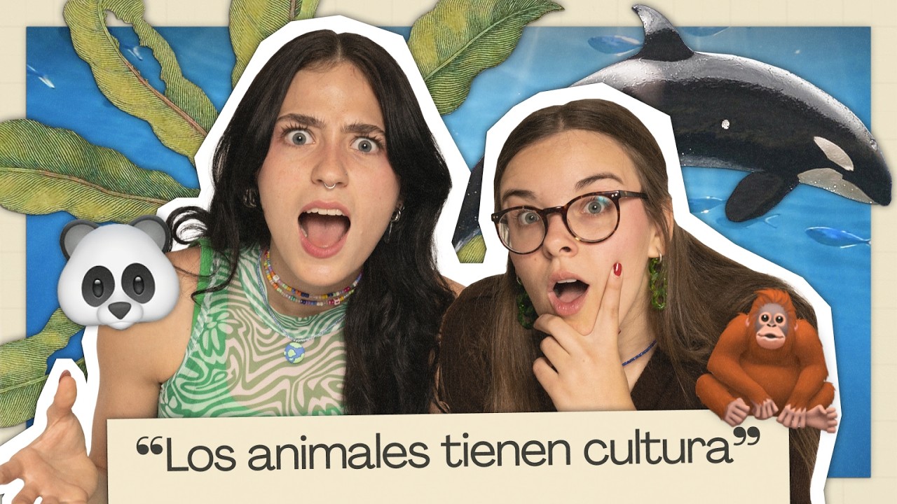 MONOS MÉDICOS