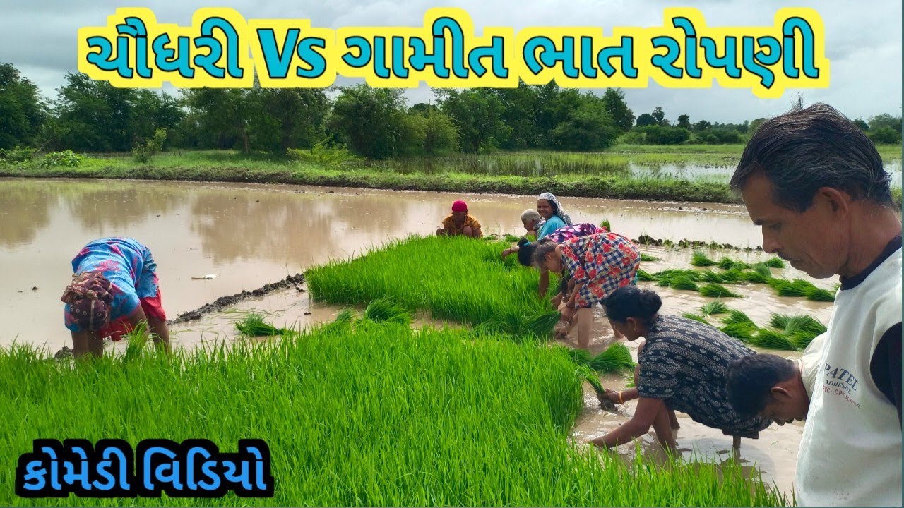 ચૌધરી Vs ગામીત ભાત રોપણી | ભાત રોપણી માં વાંધો | Brijesh Official Tapi | New Chaudhari Comedy Video