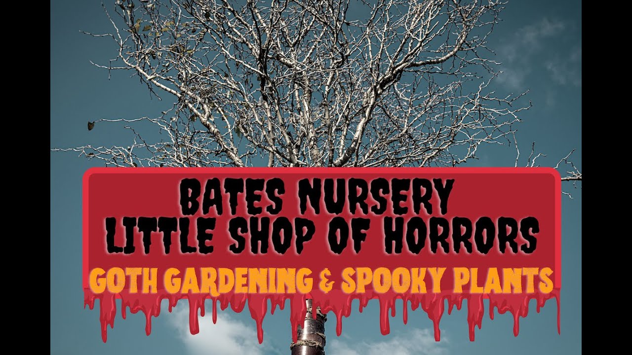 Bates Nursery Little Shop of Horrors
