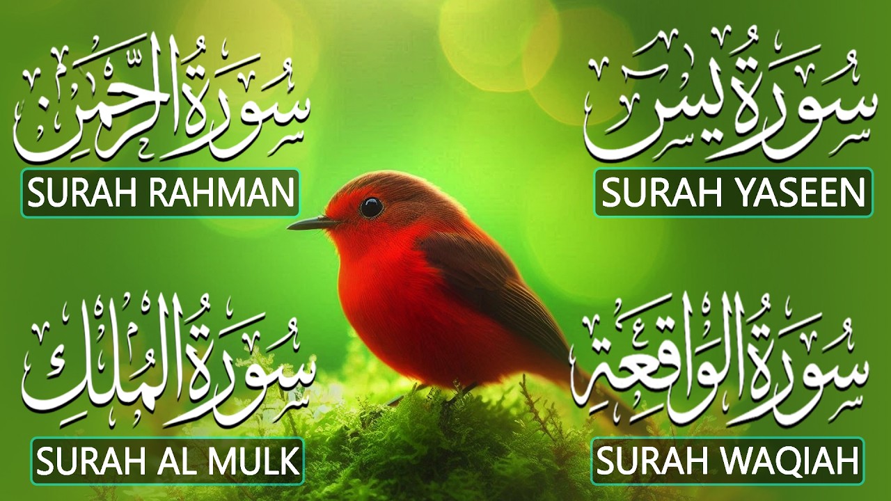 The Best Recitation Surah Yaseen Yasin  Surah Rahman  Surah Waqiah  Surah Mulk | By Alaa Aqel