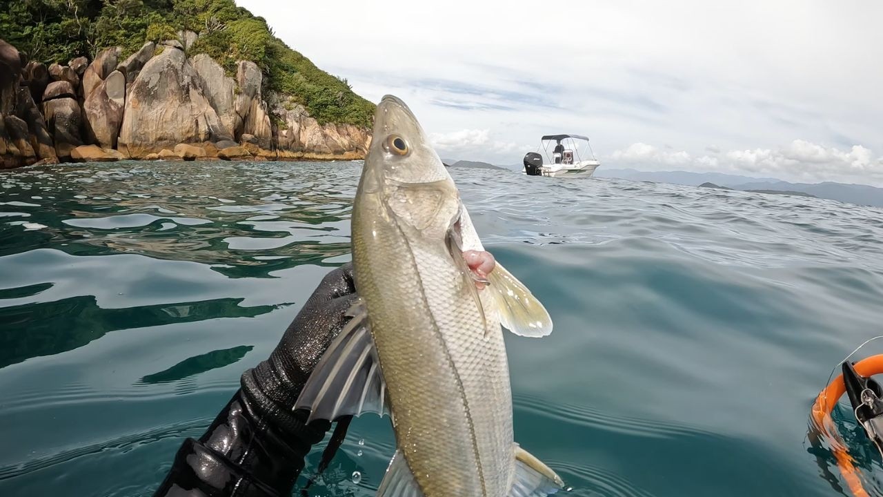 PESCA SUB - Ceviche de Robalo com Leite de Tigre