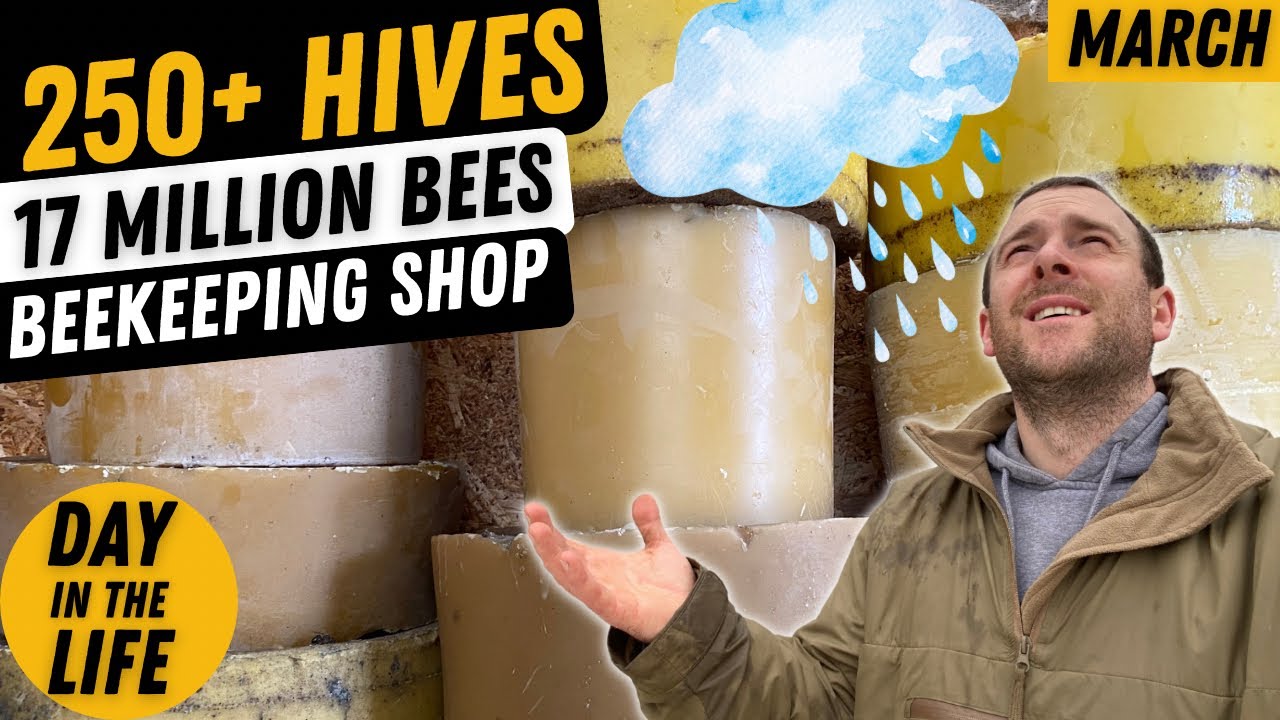 Day In The Life Of A Beekeeping Entrepreneur. March
