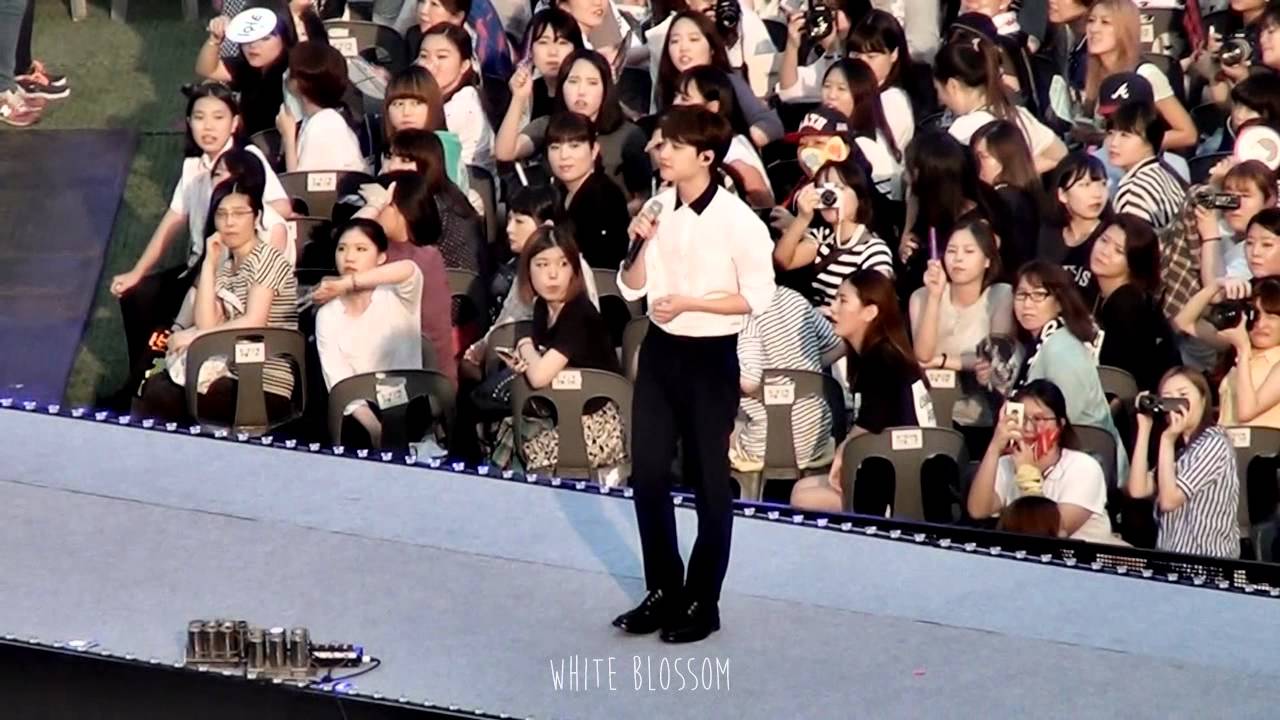 140815 SMTOWN Concert - Goodbye summer (EXO - D.O.)