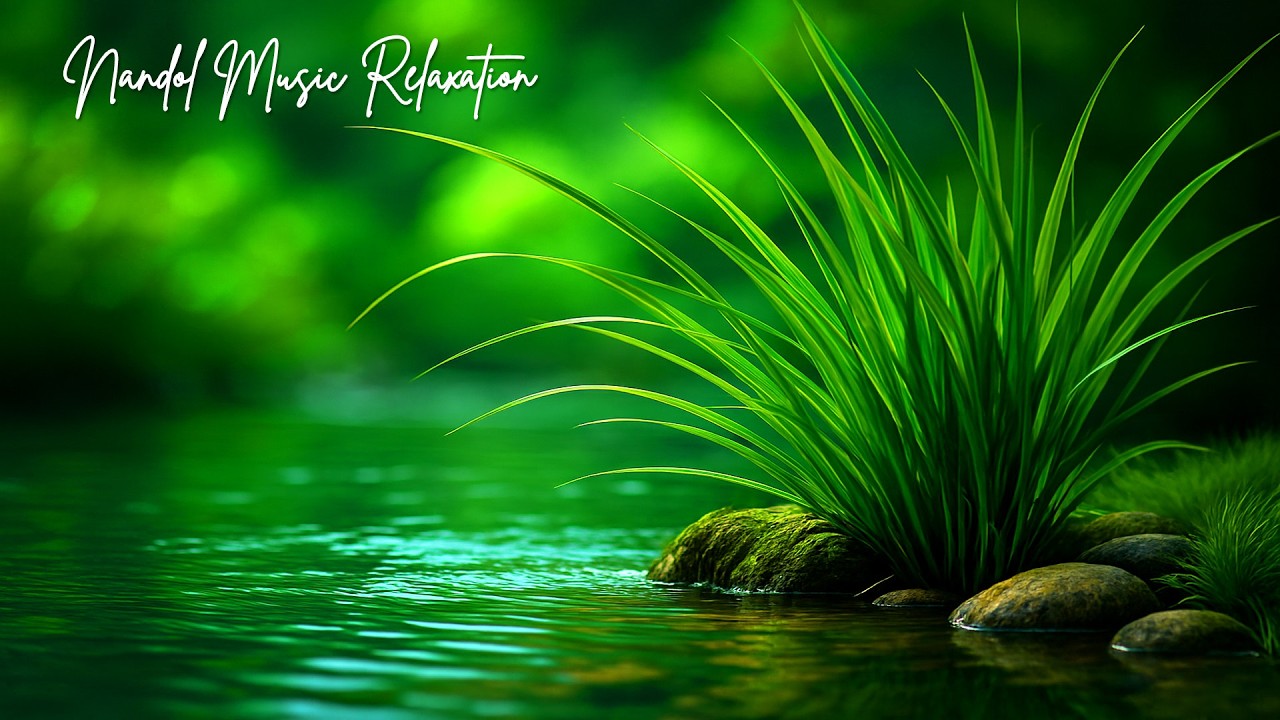 Sleep Music for Mind Recovery Body Relaxation and Emotional Comfort