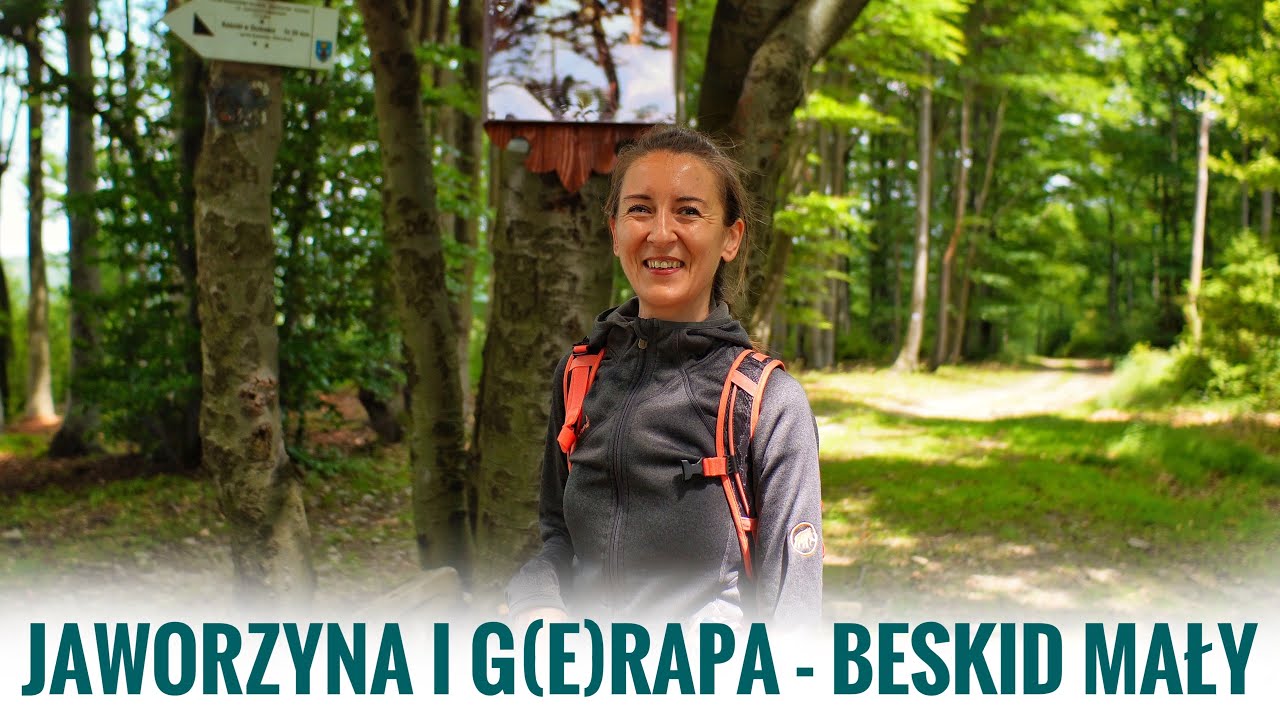 Jaworzyna, Wielka Cisowa Grapa - Beskid Mały