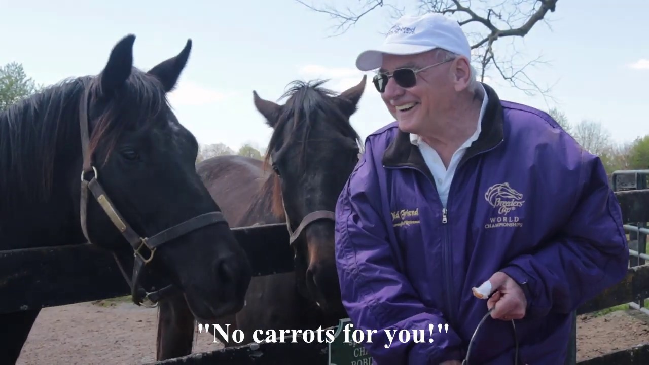 Old Friends Virtual Tour -Game On Dude, Little Mike, Hogy and Soi Phet