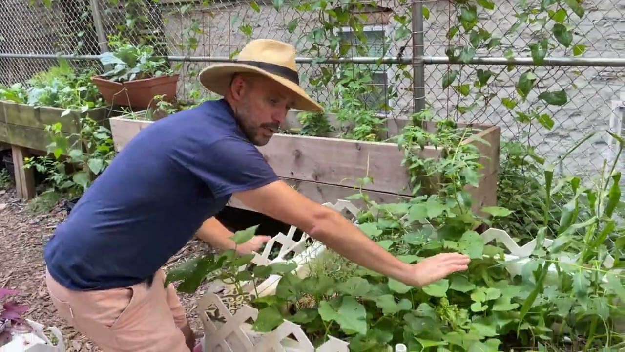 🌱🔥 DIY Self-Watering Wicking Bed from an Old Freezer or Fridge