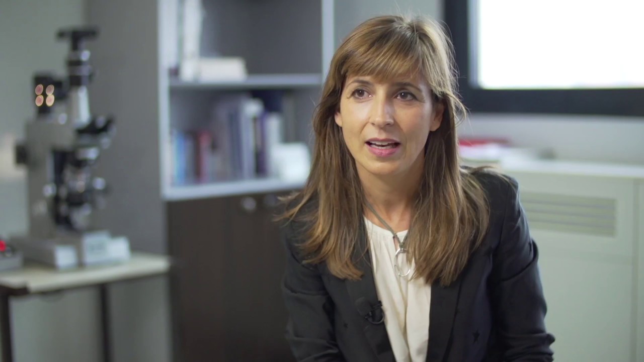 Fundación CRIS contra el cáncer