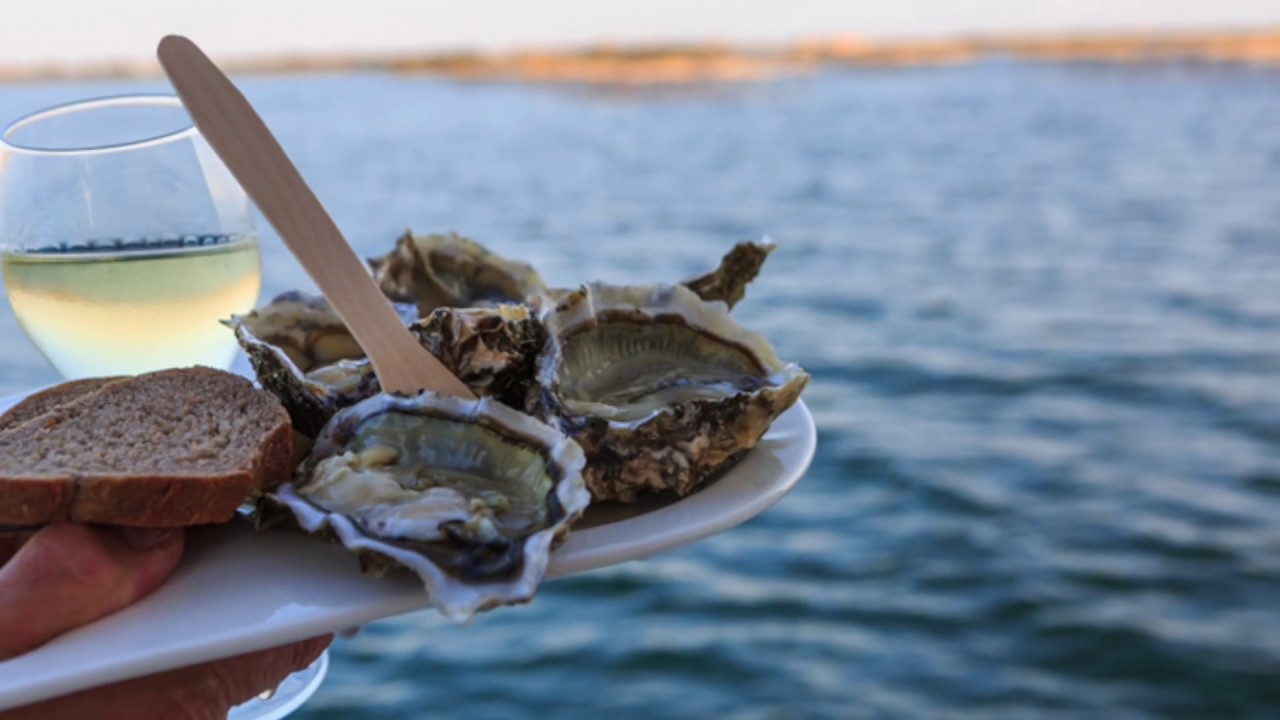 Leucate Evasion