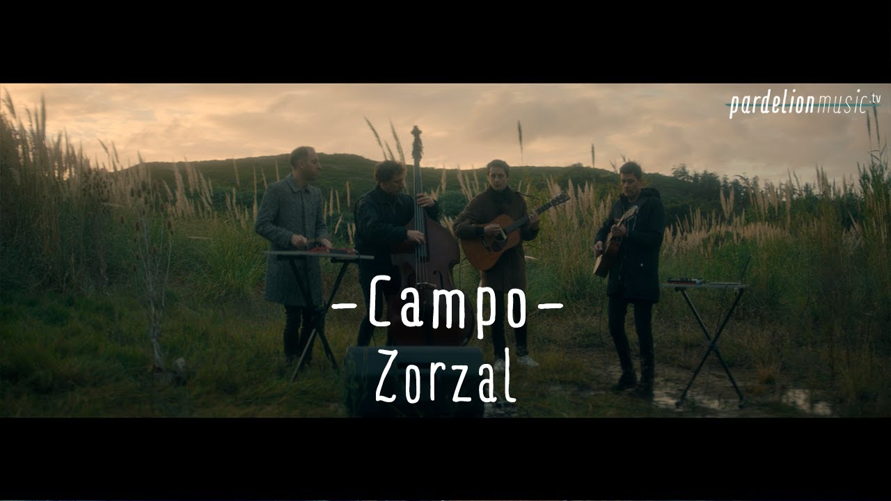 Campo - Zorzal [Live on Pardelion Music]