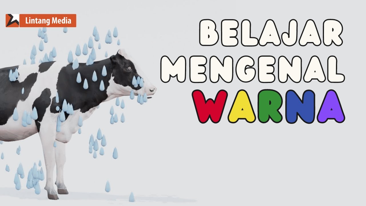 Belajar Warna dan Mengenal Suara Hewan - Sapi Colorful