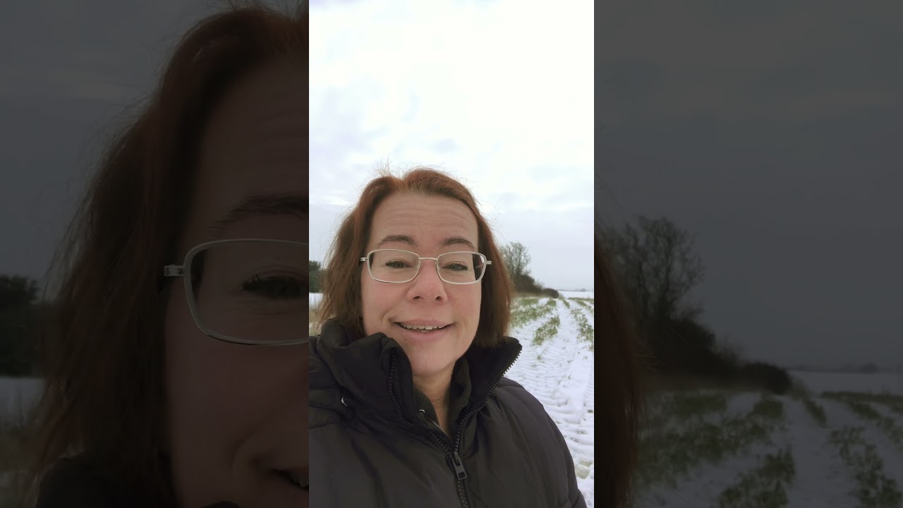 En härlig Må Bra promenix med hunden. Närvarande. När var ande som Valkyria skulle skriva. 💜