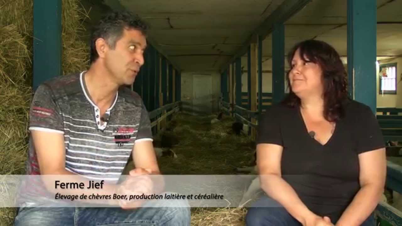 Expo Rive-Nord - Ferme Jief - Chèvres Boer