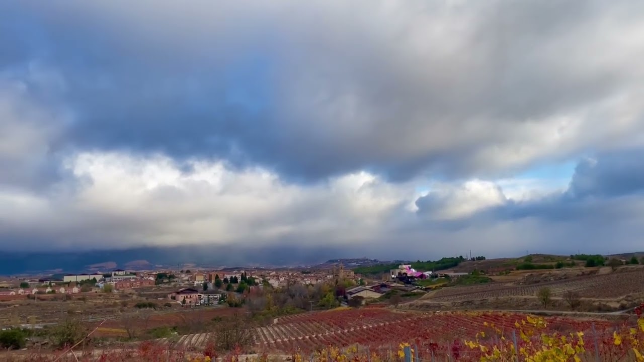 Desde Elciego
