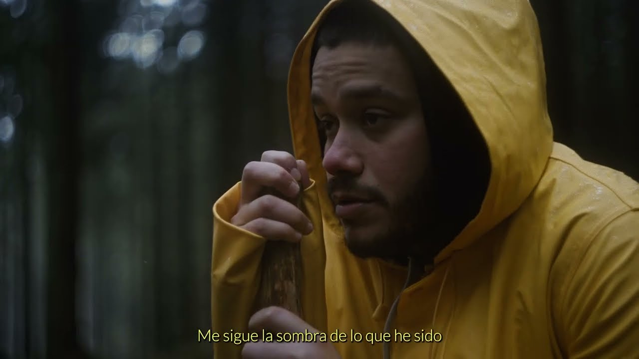 Sombras - Chuchú Bermudas
