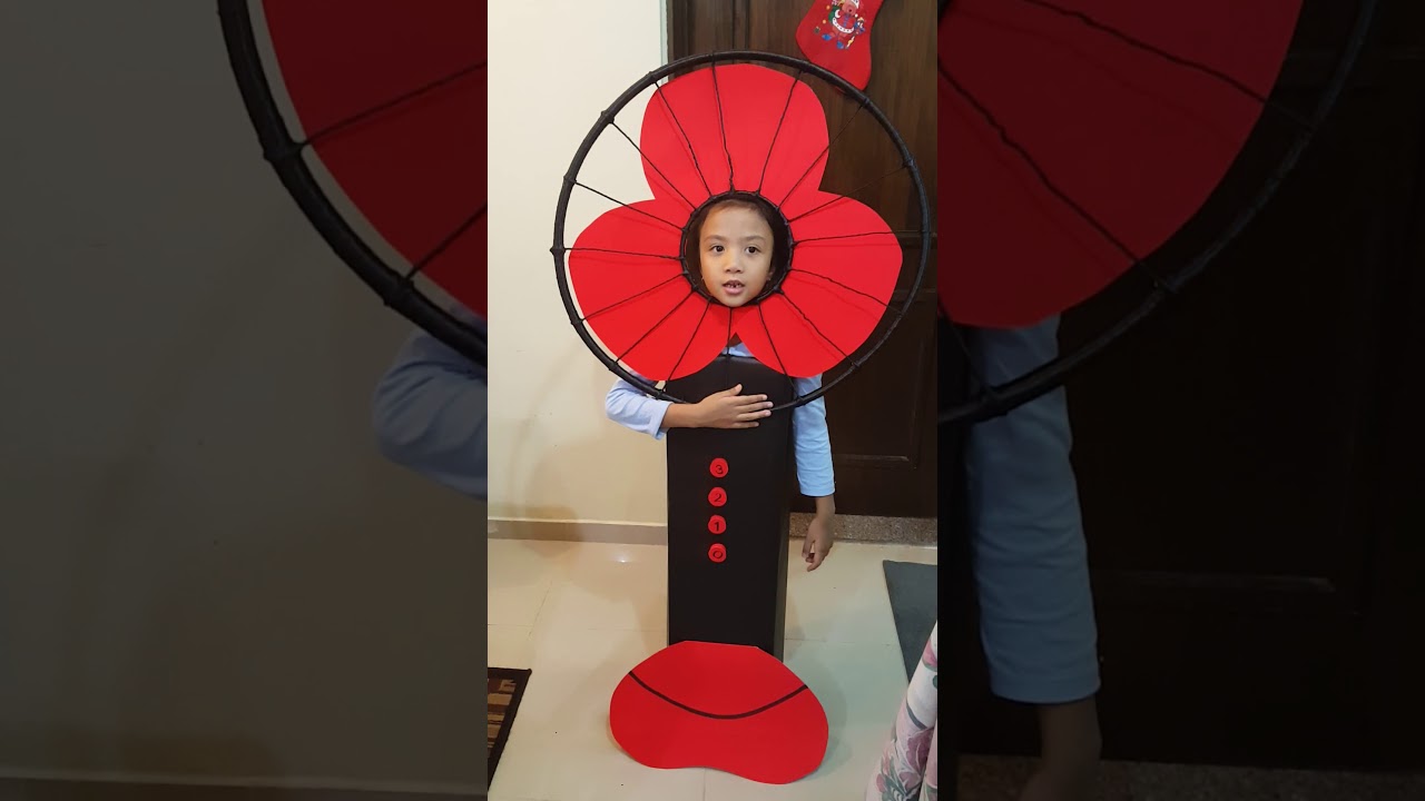 Fancy dress competition ● FAN ● won first place 🥇🏆