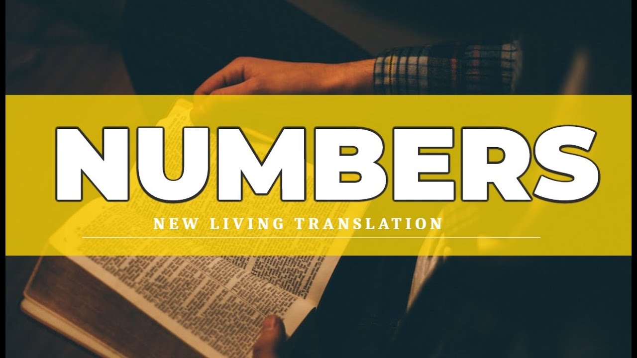 Numbers (NLT) - Audio Bible with Text