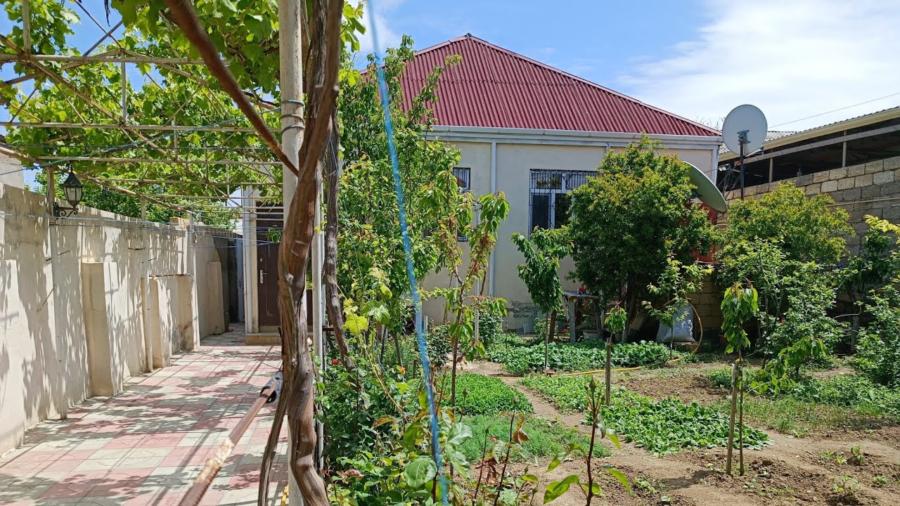 ❗Şəxsi Tikili❗həyət evi👉Bagli Bagçalı Qobu Yolunda 4 Sotda 4 otaq  KOD-859 📞055 854 04 40 Samir