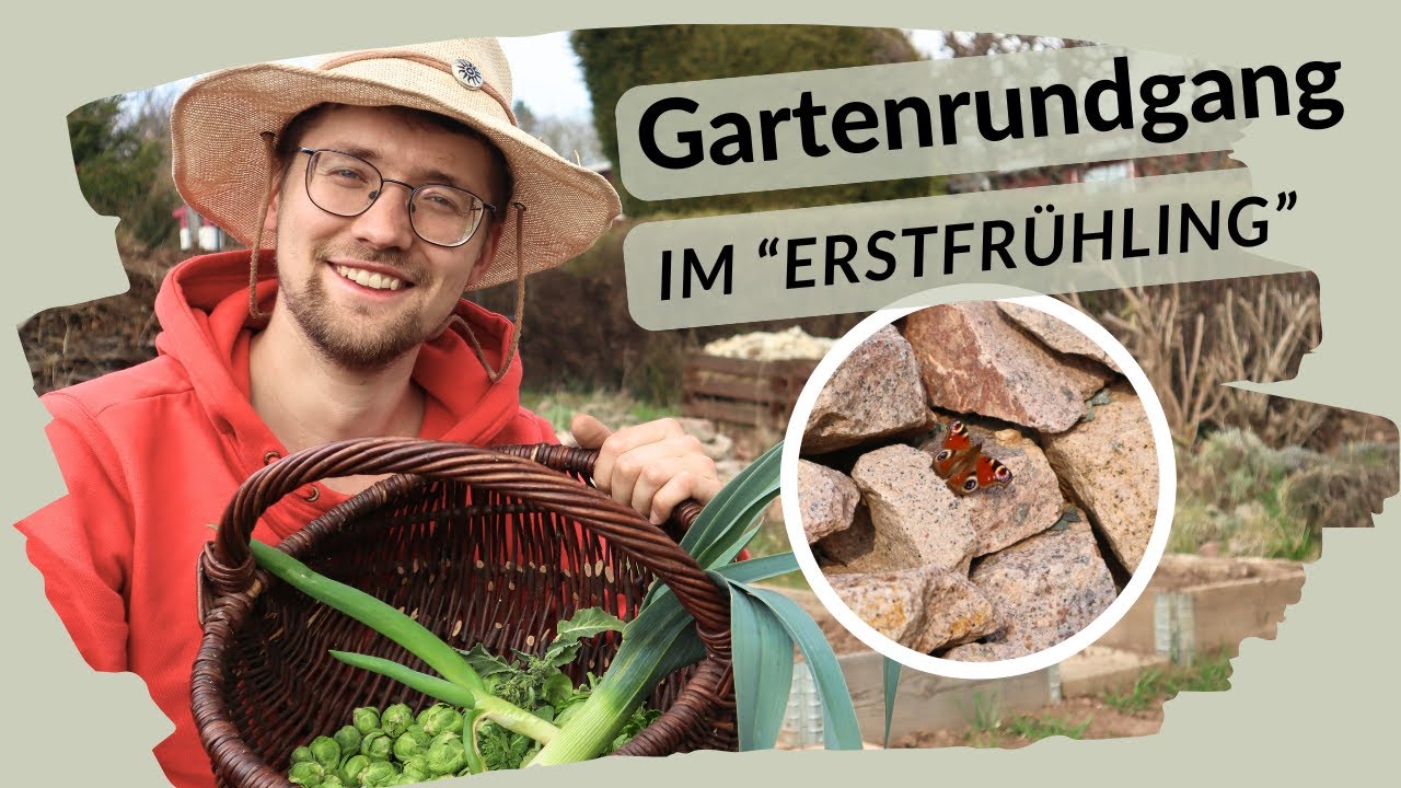 Erste Bl&uuml;ten, Hummeln und eine 