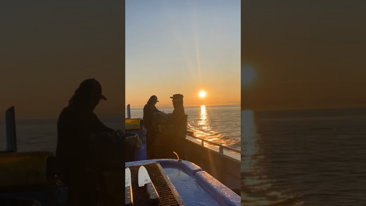 Livin' in a fisherman's paradise #sunrise #commericalfishing #halibut #fishhard #southeastalaska #ak