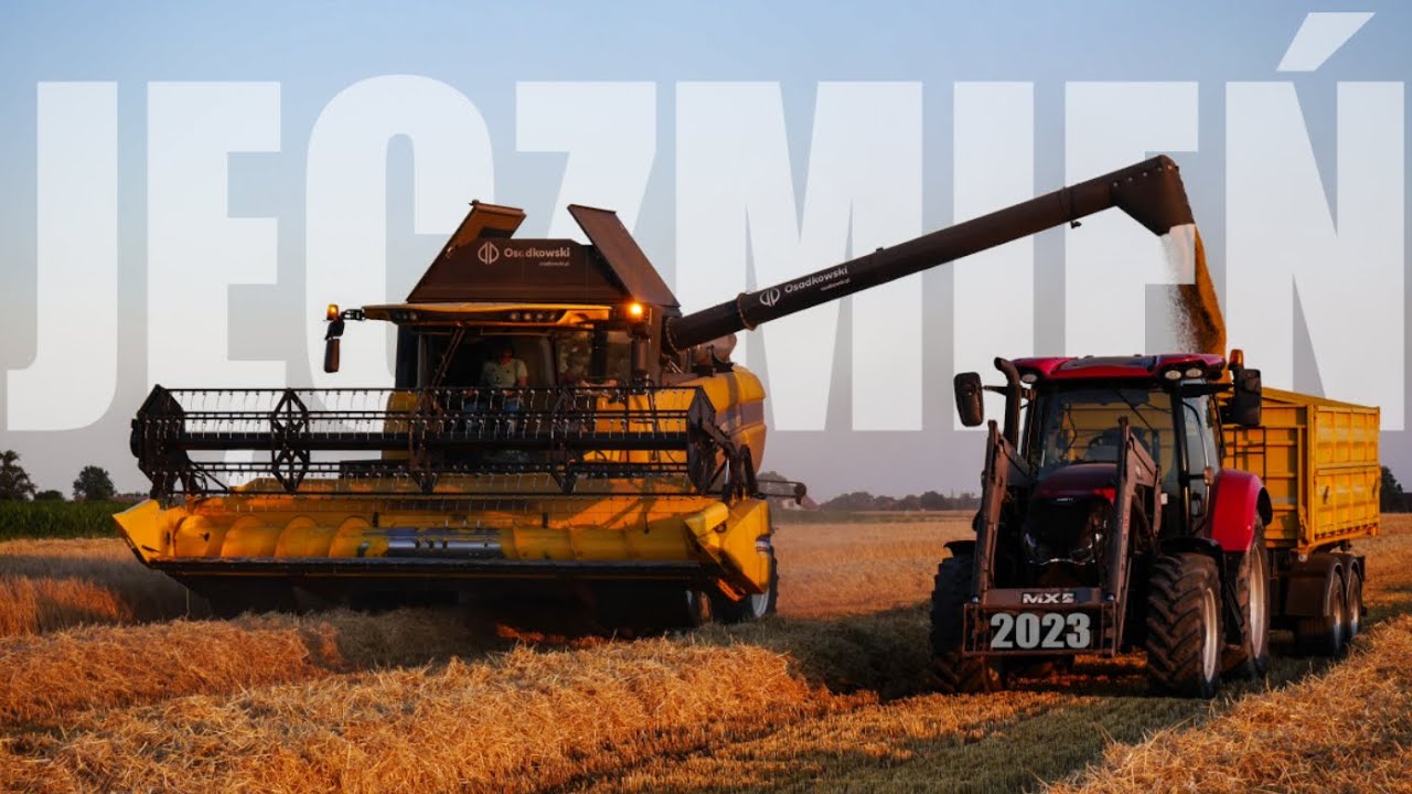 | Ozimy pod kosę | Żniwa Jęczmienia New Holland CX 6.80