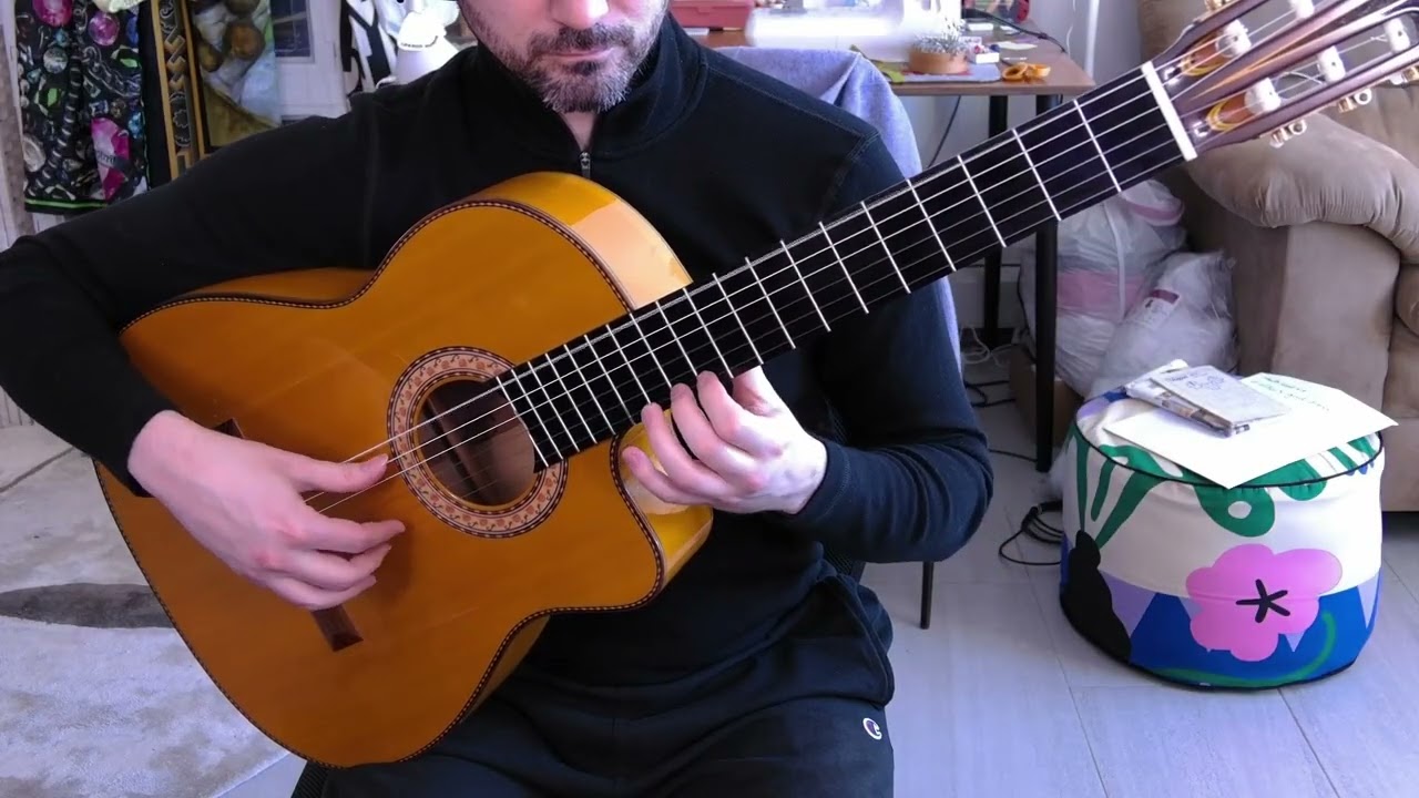 Pedro Maldonado (2008) F1 Flamenco Cutaway Blanca --- SOUND TEST # 2