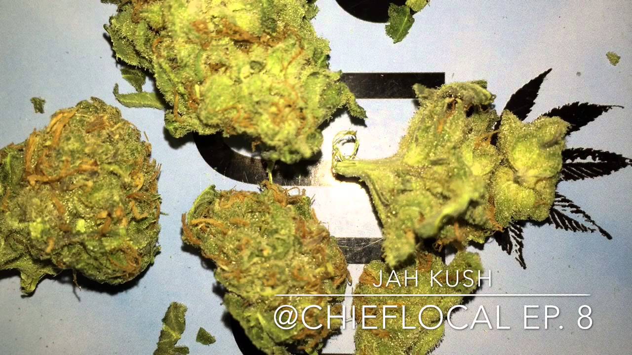 JAH KUSH STRAIN REVIEW