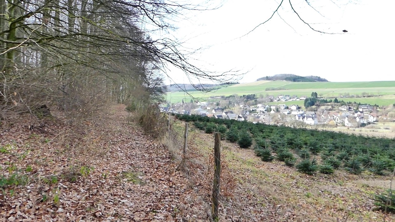 Wanderung an einem frühlingshaften Tag im Winter 2025/2026 • Anfang März 2026