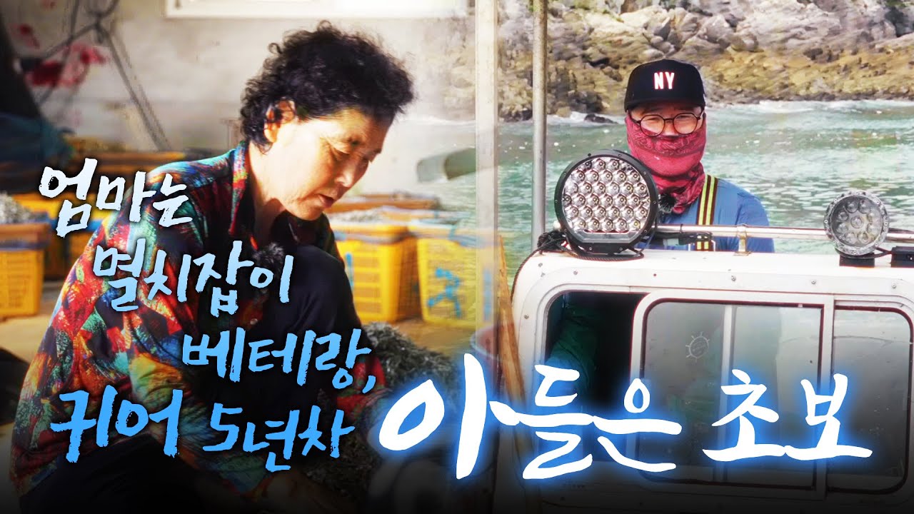 멸치 잡으랴 삶으랴 정신이 없습니다 근데 우리 어머니가 도와주시니까 참 편하고 좋아요! 한편으로는 너무 죄송하지요 #멸치 #금일도 #어영차바다야