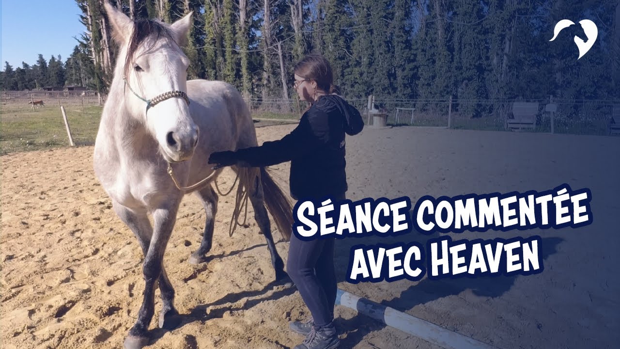 On s'entraîne pour le tournoi Equifeel Partage avec Heaven (séance commentée)