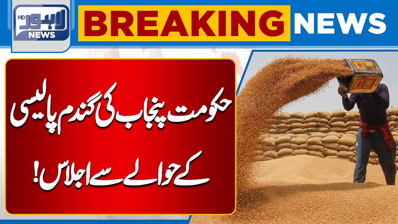 Punjab Government Holds Key Meeting on Wheat Policy | Major Update on Wheat Strategy| Lahore News HD